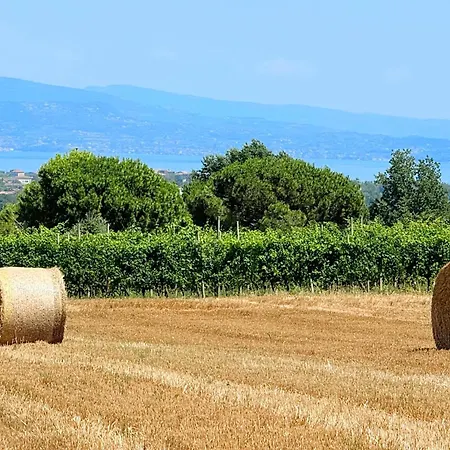 Antica Dimora Polpenazze Appartamento
